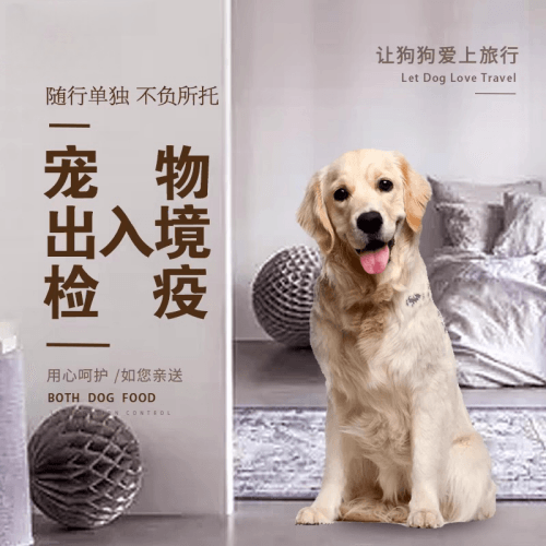 遂宁市宠物托运到哥伦比亚猫狗宠物入境规定和