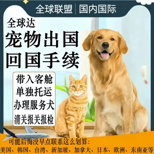 遂宁市宠物托运到柬埔寨宠物入境规定和要求