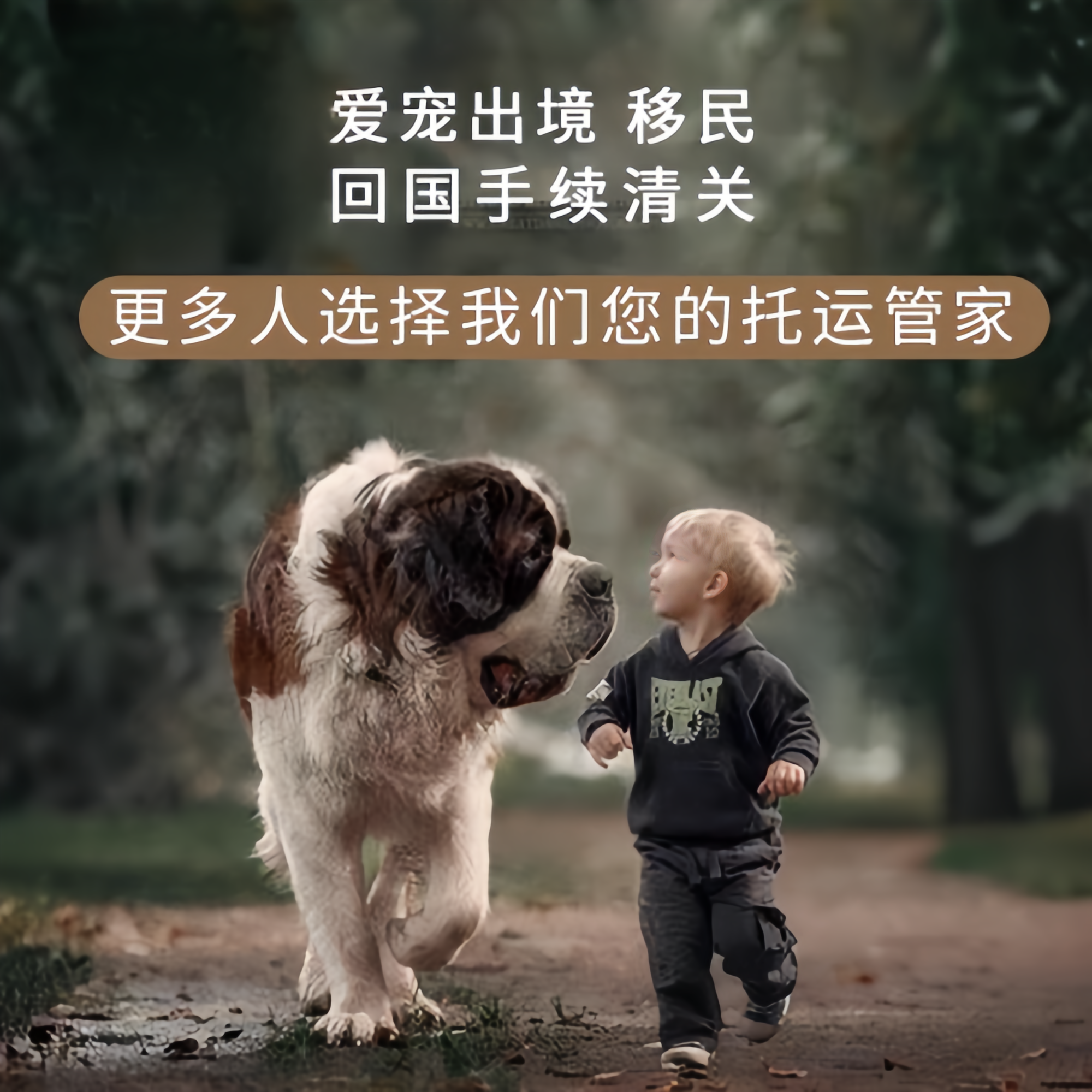 满财遂宁市宠物全球达宠物托运在遵守入境目的地政策的条件